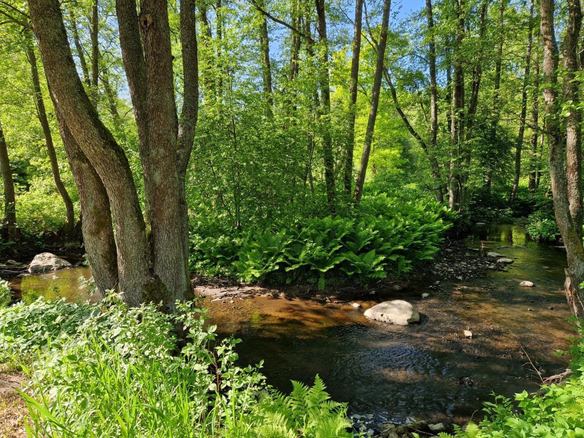 Elulille Maja Mere Laeheduses Lahemaa Ruepes Andineeme Esterno foto