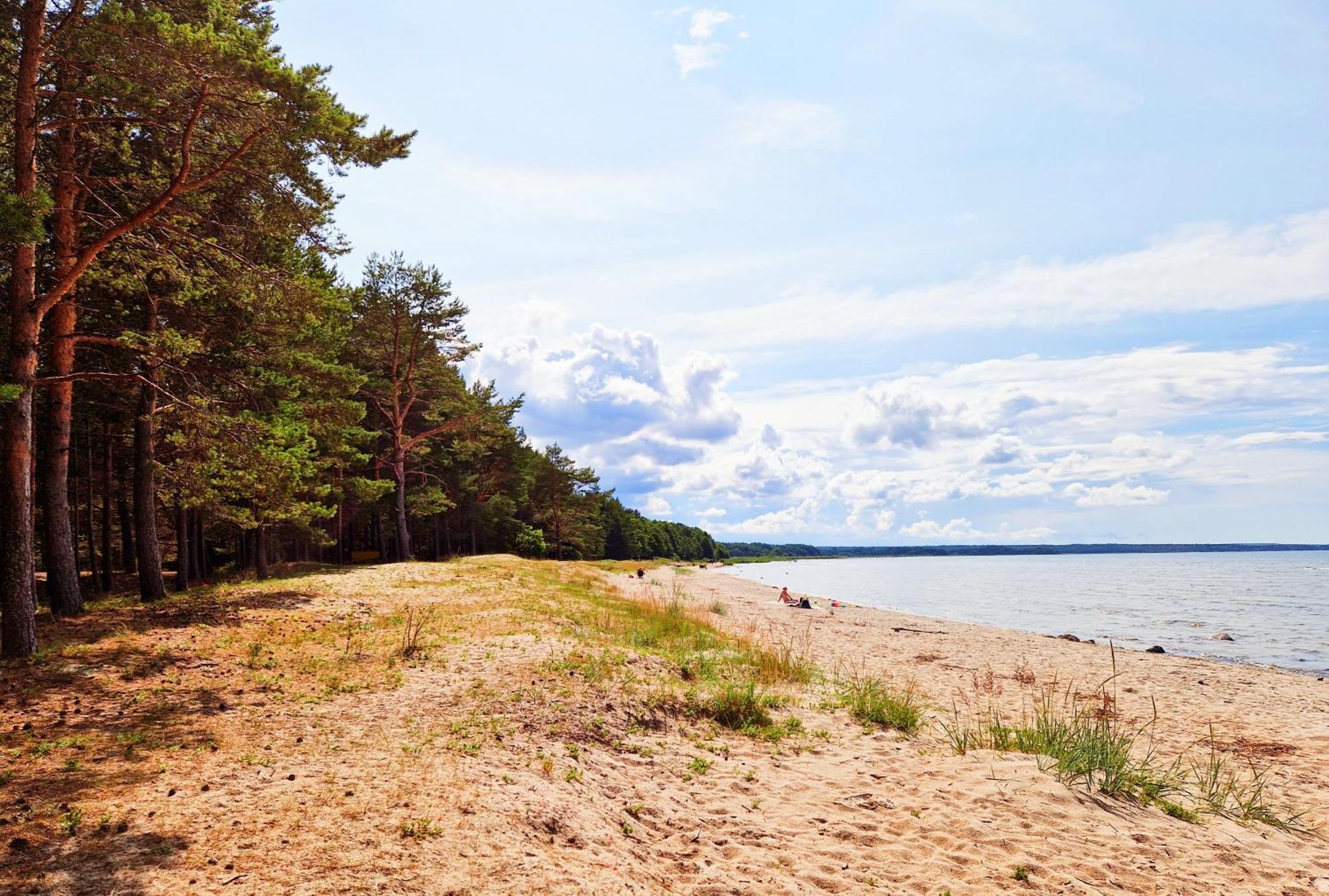 Elulille Maja Mere Laeheduses Lahemaa Ruepes Andineeme Esterno foto